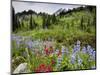Wildflowers on Meadows, Mount Rainier National Park, Washington, USA-Tom Norring-Mounted Photographic Print