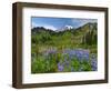 Wildflowers on Meadows, Mount Rainier National Park, Washington, USA-Tom Norring-Framed Photographic Print