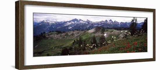 Wildflowers on Mountains, Mt Rainier, Pierce County, Washington State, USA-null-Framed Photographic Print