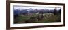 Wildflowers on Mountains, Mt Rainier, Pierce County, Washington State, USA-null-Framed Photographic Print