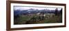 Wildflowers on Mountains, Mt Rainier, Pierce County, Washington State, USA-null-Framed Photographic Print