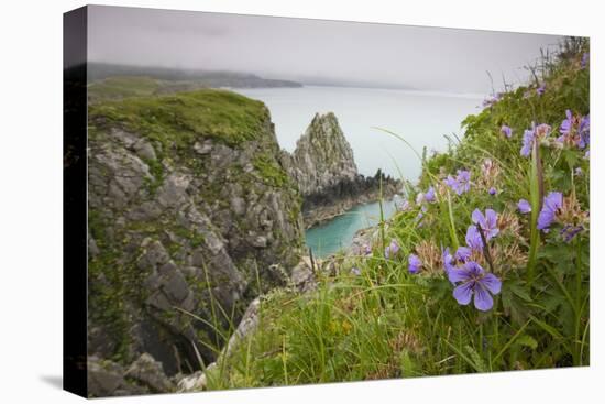 Wildflowers on Nukshak Island at Hallo Bay-Paul Souders-Stretched Canvas