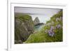 Wildflowers on Nukshak Island at Hallo Bay-Paul Souders-Framed Photographic Print