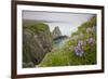 Wildflowers on Nukshak Island at Hallo Bay-Paul Souders-Framed Photographic Print