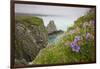 Wildflowers on Nukshak Island at Hallo Bay-Paul Souders-Framed Photographic Print