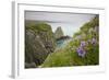 Wildflowers on Nukshak Island at Hallo Bay-Paul Souders-Framed Photographic Print