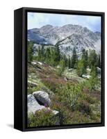 Wildflowers on Patterson Peak, Challis National Forest, Sawtooth Recreation Area, Idaho, USA-Scott T. Smith-Framed Stretched Canvas