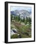 Wildflowers on Patterson Peak, Challis National Forest, Sawtooth Recreation Area, Idaho, USA-Scott T. Smith-Framed Photographic Print