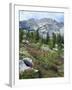 Wildflowers on Patterson Peak, Challis National Forest, Sawtooth Recreation Area, Idaho, USA-Scott T. Smith-Framed Photographic Print