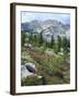 Wildflowers on Patterson Peak, Challis National Forest, Sawtooth Recreation Area, Idaho, USA-Scott T. Smith-Framed Photographic Print