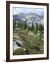 Wildflowers on Patterson Peak, Challis National Forest, Sawtooth Recreation Area, Idaho, USA-Scott T. Smith-Framed Photographic Print