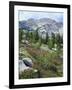 Wildflowers on Patterson Peak, Challis National Forest, Sawtooth Recreation Area, Idaho, USA-Scott T. Smith-Framed Photographic Print