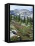 Wildflowers on Patterson Peak, Challis National Forest, Sawtooth Recreation Area, Idaho, USA-Scott T. Smith-Framed Stretched Canvas