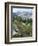 Wildflowers on Patterson Peak, Challis National Forest, Sawtooth Recreation Area, Idaho, USA-Scott T. Smith-Framed Photographic Print