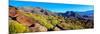 Wildflowers on Rocks-null-Mounted Photographic Print