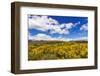 Wildflowers on rolling hills above Lake Te Anau, South Island, New Zealand-Russ Bishop-Framed Photographic Print