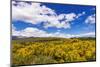Wildflowers on rolling hills above Lake Te Anau, South Island, New Zealand-Russ Bishop-Mounted Photographic Print