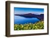 Wildflowers on Santorini-kwest19-Framed Photographic Print