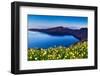 Wildflowers on Santorini-kwest19-Framed Photographic Print