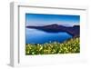 Wildflowers on Santorini-kwest19-Framed Photographic Print