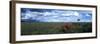 Wildflowers on Savanna, Masai Mara Game Reserve, Kenya-Paul Souders-Framed Photographic Print