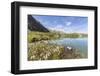 Wildflowers on the shore of the alpine lake, Crap Alv Lejets, Albula Pass, Canton of Graubunden, Sw-Roberto Moiola-Framed Photographic Print