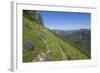 Wildflowers on the summit, Mt Defiance, Cascade Range, Washington, USA-Steve Kazlowski-Framed Photographic Print