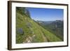 Wildflowers on the summit, Mt Defiance, Cascade Range, Washington, USA-Steve Kazlowski-Framed Photographic Print