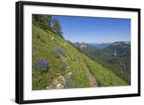 Wildflowers on the summit, Mt Defiance, Cascade Range, Washington, USA-Steve Kazlowski-Framed Photographic Print