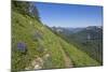 Wildflowers on the summit, Mt Defiance, Cascade Range, Washington, USA-Steve Kazlowski-Mounted Photographic Print