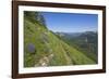 Wildflowers on the summit, Mt Defiance, Cascade Range, Washington, USA-Steve Kazlowski-Framed Photographic Print