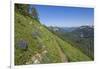 Wildflowers on the summit, Mt Defiance, Cascade Range, Washington, USA-Steve Kazlowski-Framed Photographic Print