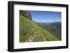 Wildflowers on the summit, Mt Defiance, Cascade Range, Washington, USA-Steve Kazlowski-Framed Photographic Print