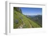 Wildflowers on the summit, Mt Defiance, Cascade Range, Washington, USA-Steve Kazlowski-Framed Photographic Print