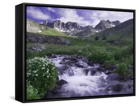 Wildflowers, Ouray, San Juan Mountains, Rocky Mountains, Colorado, USA-Rolf Nussbaumer-Framed Stretched Canvas