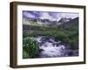 Wildflowers, Ouray, San Juan Mountains, Rocky Mountains, Colorado, USA-Rolf Nussbaumer-Framed Photographic Print