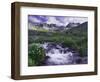 Wildflowers, Ouray, San Juan Mountains, Rocky Mountains, Colorado, USA-Rolf Nussbaumer-Framed Photographic Print