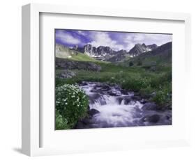 Wildflowers, Ouray, San Juan Mountains, Rocky Mountains, Colorado, USA-Rolf Nussbaumer-Framed Photographic Print