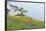 Wildflowers Overlooking Ocean, Yellow Island, Washington, USA-Jaynes Gallery-Framed Photographic Print