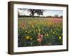 Wildflowers, Texas, USA-Larry Ditto-Framed Photographic Print