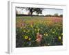 Wildflowers, Texas, USA-Larry Ditto-Framed Photographic Print