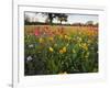 Wildflowers, Texas, USA-Larry Ditto-Framed Photographic Print