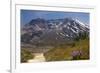 Wildflowers Trail, Mount Saint Helens Volcano National Park, Washington State-William Perry-Framed Photographic Print