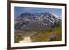 Wildflowers Trail, Mount Saint Helens Volcano National Park, Washington State-William Perry-Framed Photographic Print