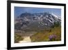 Wildflowers Trail, Mount Saint Helens Volcano National Park, Washington State-William Perry-Framed Photographic Print