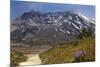 Wildflowers Trail, Mount Saint Helens Volcano National Park, Washington State-William Perry-Mounted Photographic Print