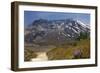 Wildflowers Trail, Mount Saint Helens Volcano National Park, Washington State-William Perry-Framed Photographic Print