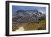 Wildflowers Trail, Mount Saint Helens Volcano National Park, Washington State-William Perry-Framed Photographic Print