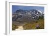 Wildflowers Trail, Mount Saint Helens Volcano National Park, Washington State-William Perry-Framed Photographic Print