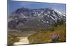 Wildflowers Trail, Mount Saint Helens Volcano National Park, Washington State-William Perry-Mounted Photographic Print